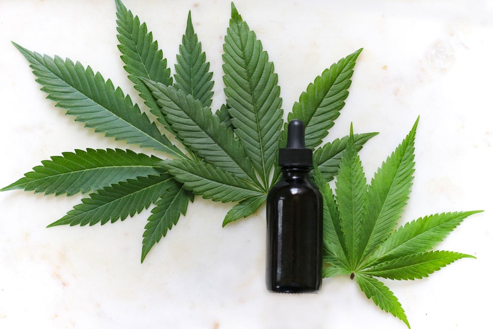 Everything you Need to Know about CBD