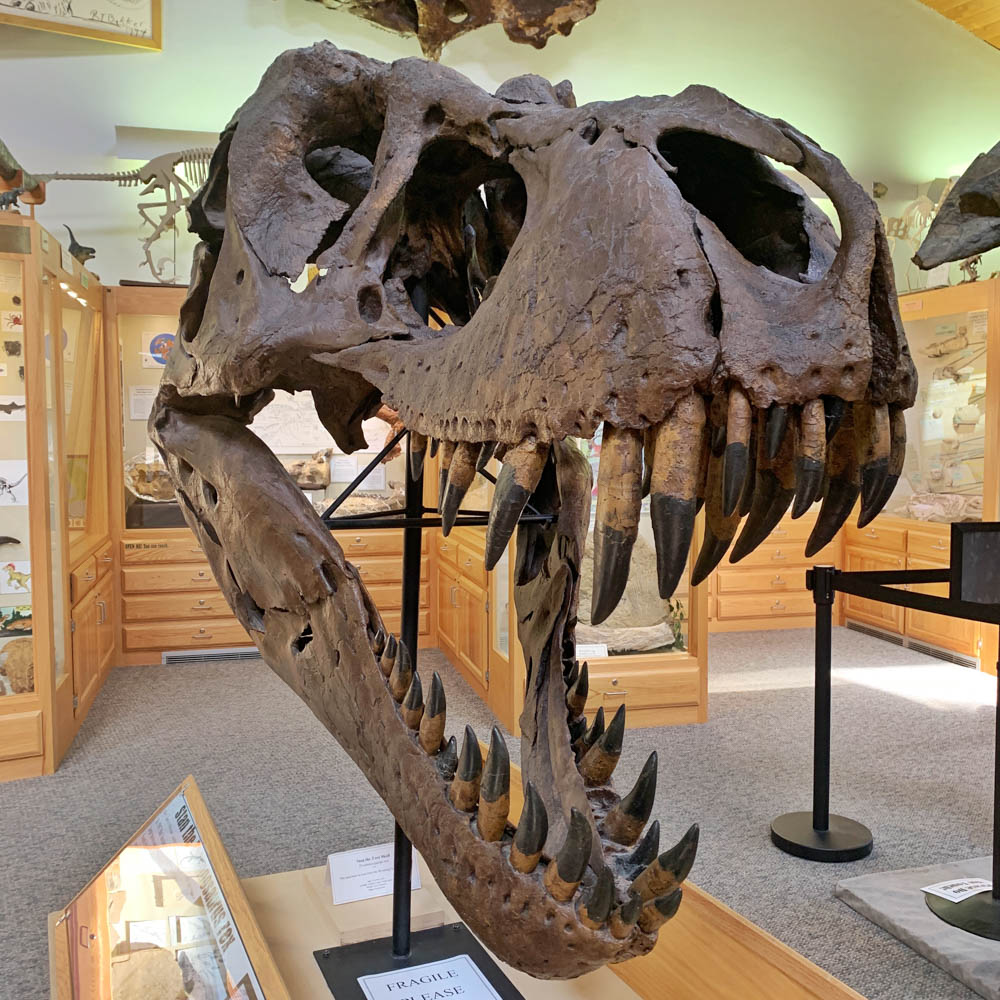 Things To Do in Casper Wyoming Tate Geological Center