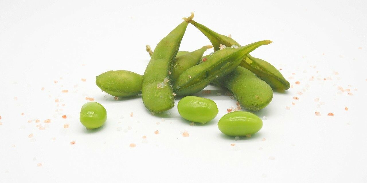 Plant-Based Whole30 Edamame Brands 2025