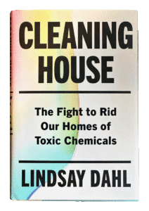 Cleaning House by Lindsay Dahl